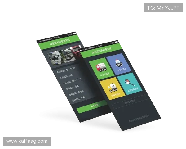 深入分析凯发线上官方入口的支付方式和安全性