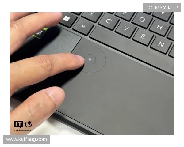 专家分析：K8凯发网址登录线路优化策略对提升用户体验的积极影响
