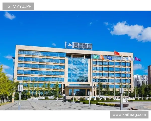 凯发k8娱乐官网入口官方地址推荐，确保玩家轻松访问无忧畅玩游戏