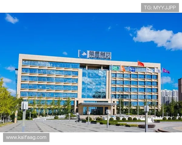 凯发集团网页版登录不了的常见原因及安全性检查建议 凯发集团网页版登录不了的常见原因及安全性检查建议